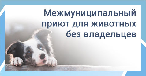 942862f169e11f3ec902367ff01c8566.jpg
